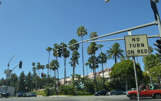 Palm-lined street in Beverly Hills