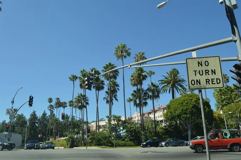 Palm-lined street in Beverly Hills
